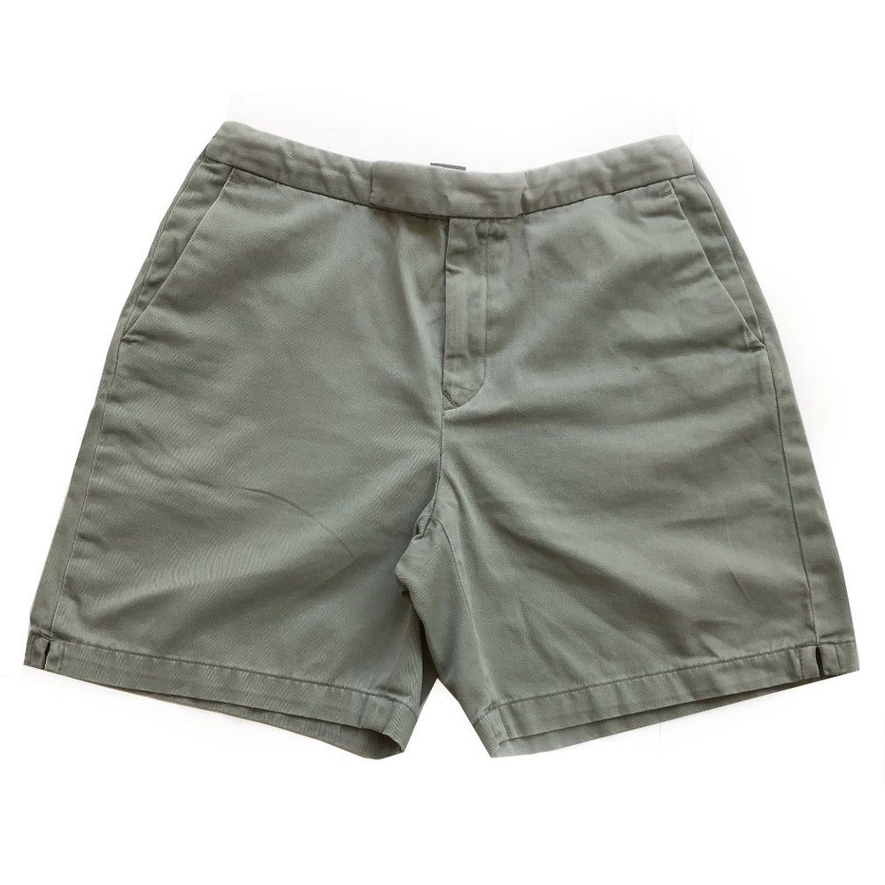 Banana Republic Girls Size 4L Light Green Shorts